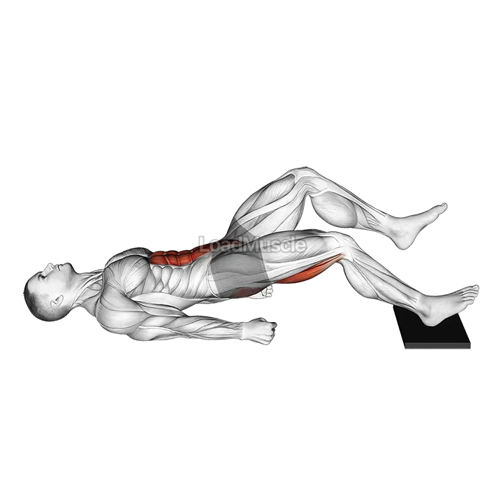 Single Leg Sliding Floor Bridge Curl on Towel demonstration