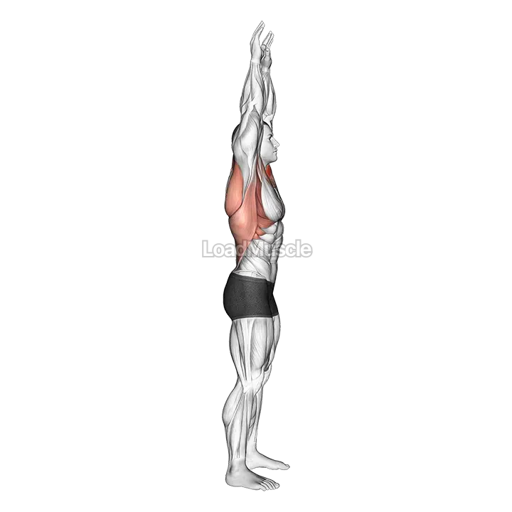 Shoulder Backbend Stretch demonstration