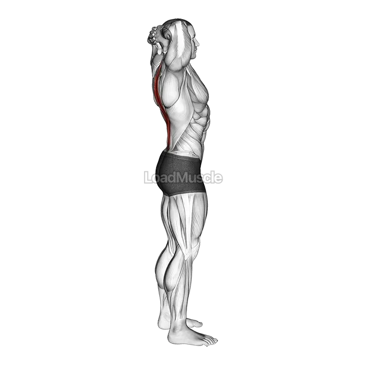 Spine Backbend Stretch demonstration