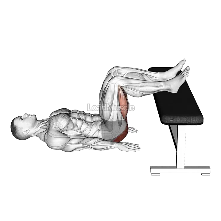 Glute Bridge Two Legs on Bench demonstration