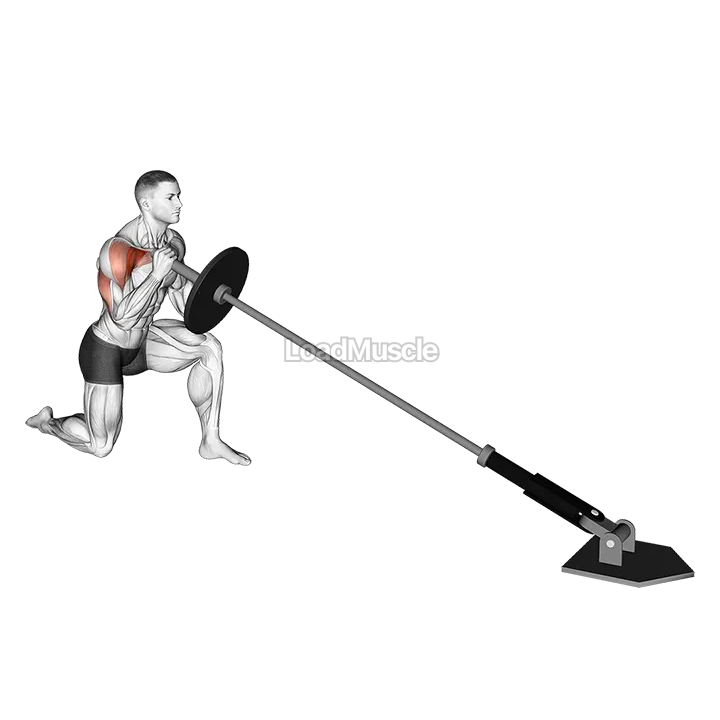 Landmine Kneeling One Arm Shoulder Press demonstration