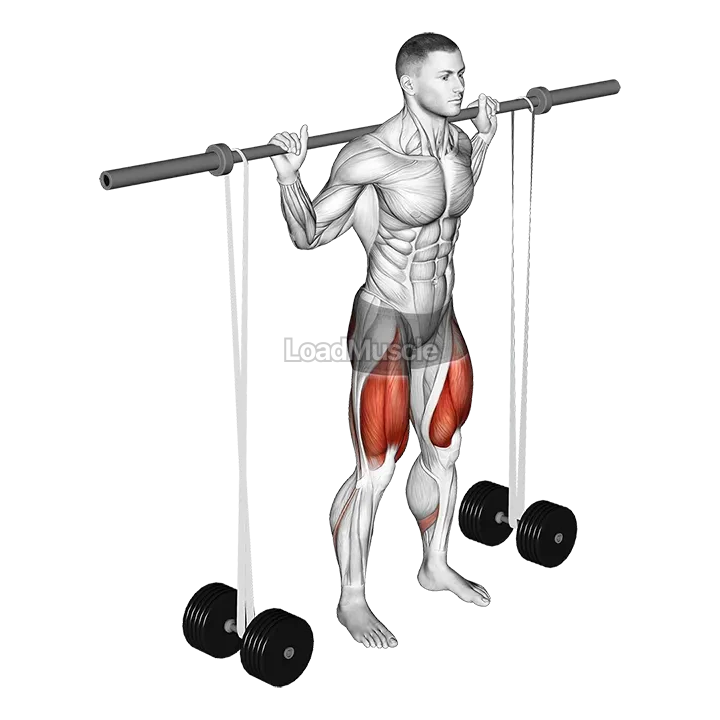 Barbell Banded Squat demonstration