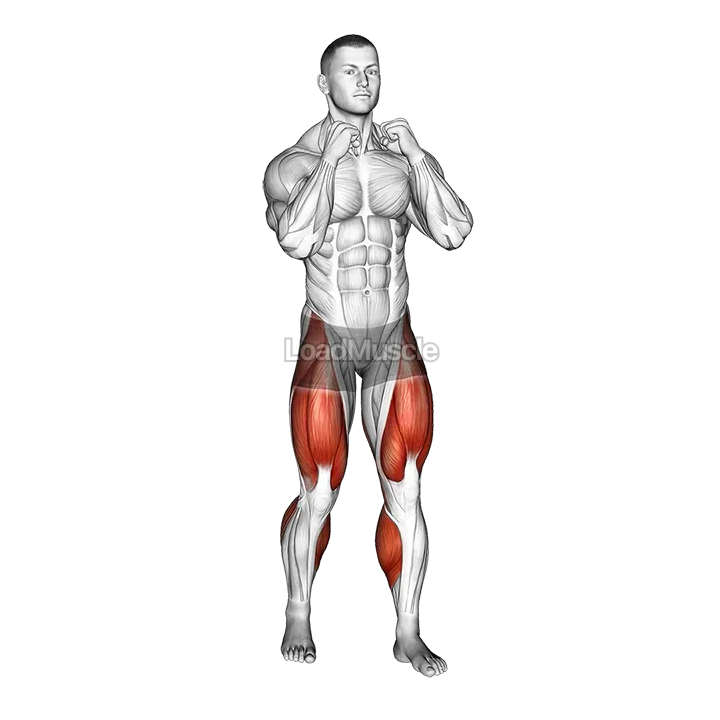 Boxer Shuffle demonstration