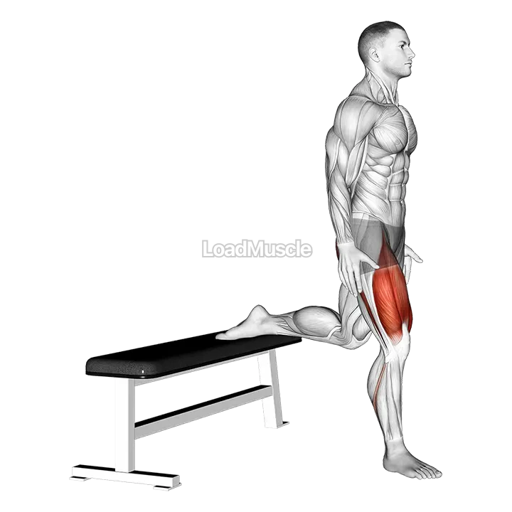 Bulgarian Split Squat demonstration