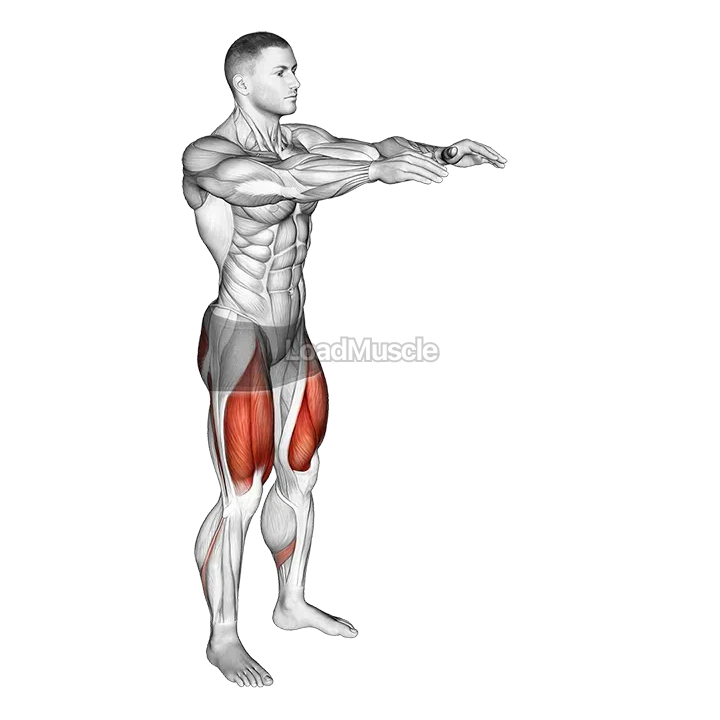 Bodyweight Pulse Squat demonstration