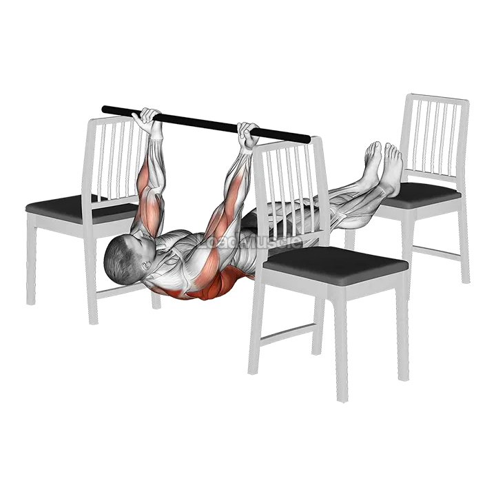 Elevanted Inverted Underhand Grip Row between 3 Chairs demonstration
