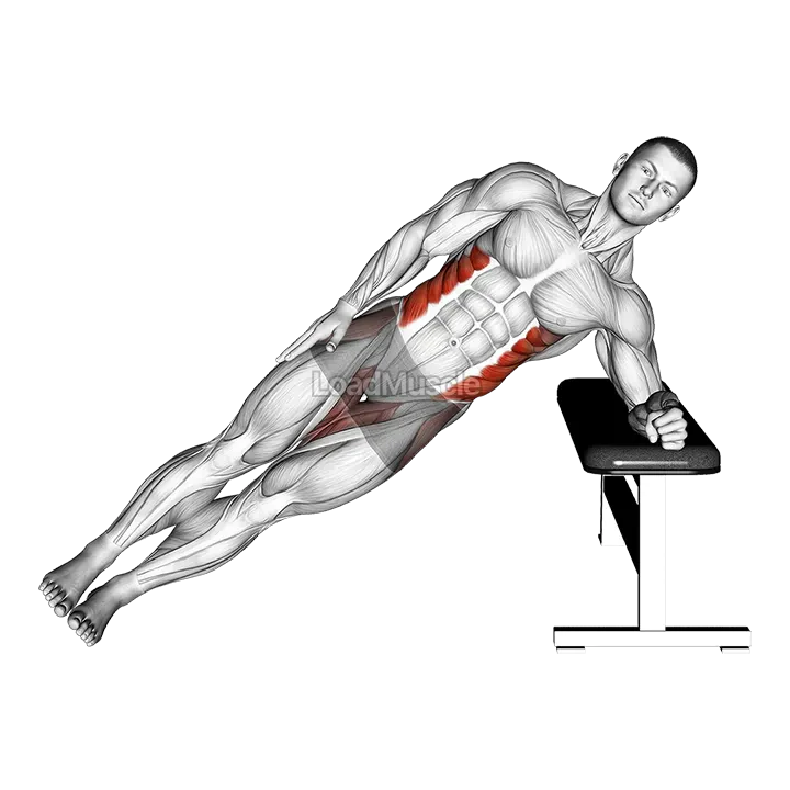 Bodyweight Incline Side Plank demonstration