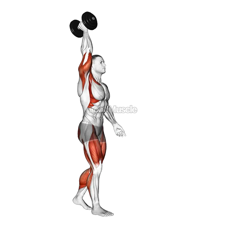 Dumbbell Single Arm Overhead Carry demonstration