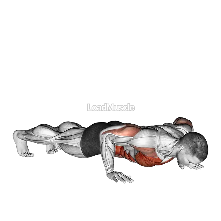 Rotational Push Up demonstration