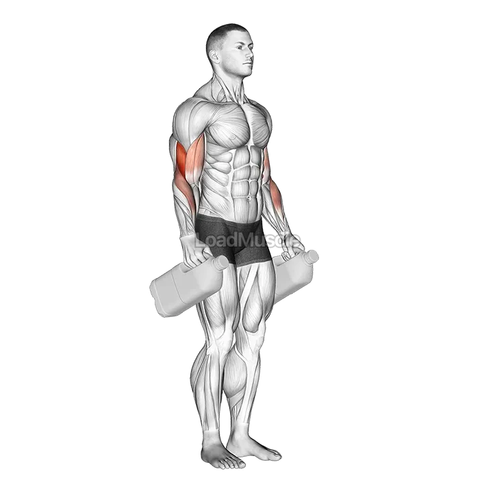 Bottle Hammer Curl demonstration