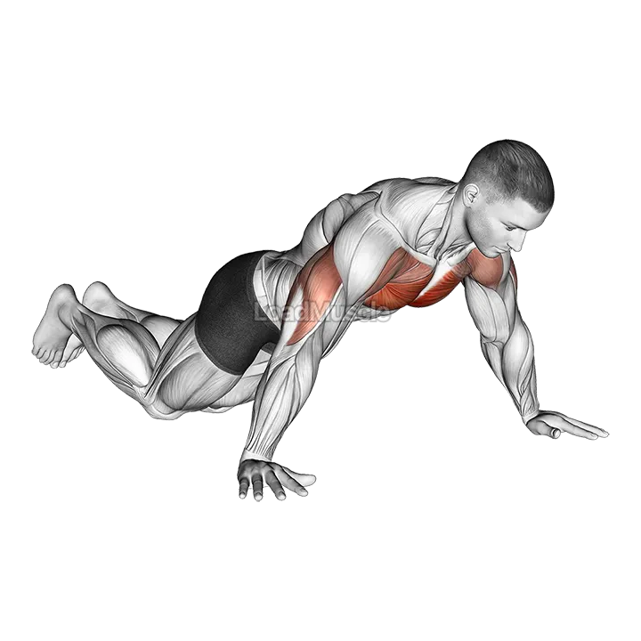Kneeling Wide Hand Push Up demonstration