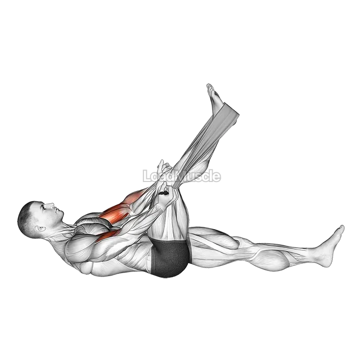 Lying Biceps Curl with Towel demonstration