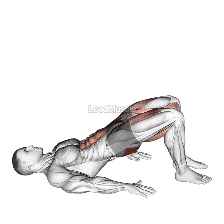 Glute Bridge March demonstration