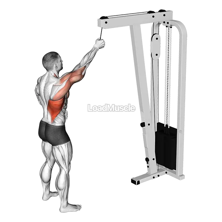 Cable One Arm Pulldown demonstration