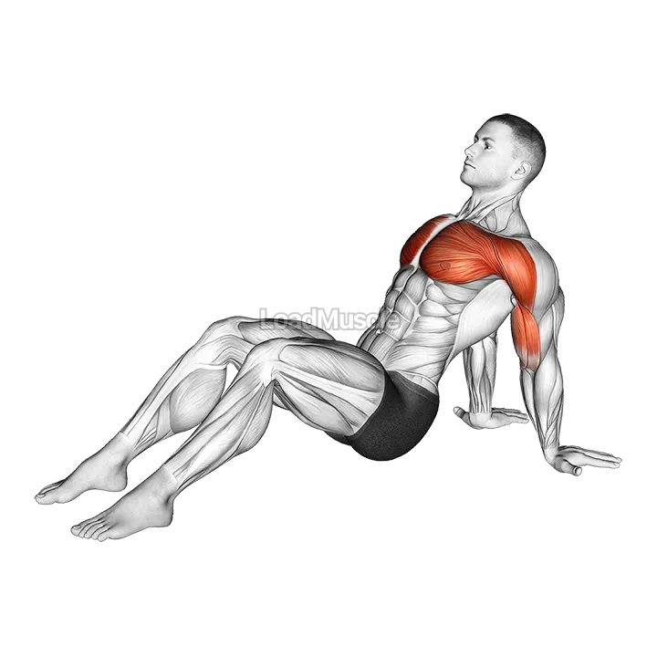 Seated Shoulder Flexor Depresor Retractor Stretch Bent Knee demonstration