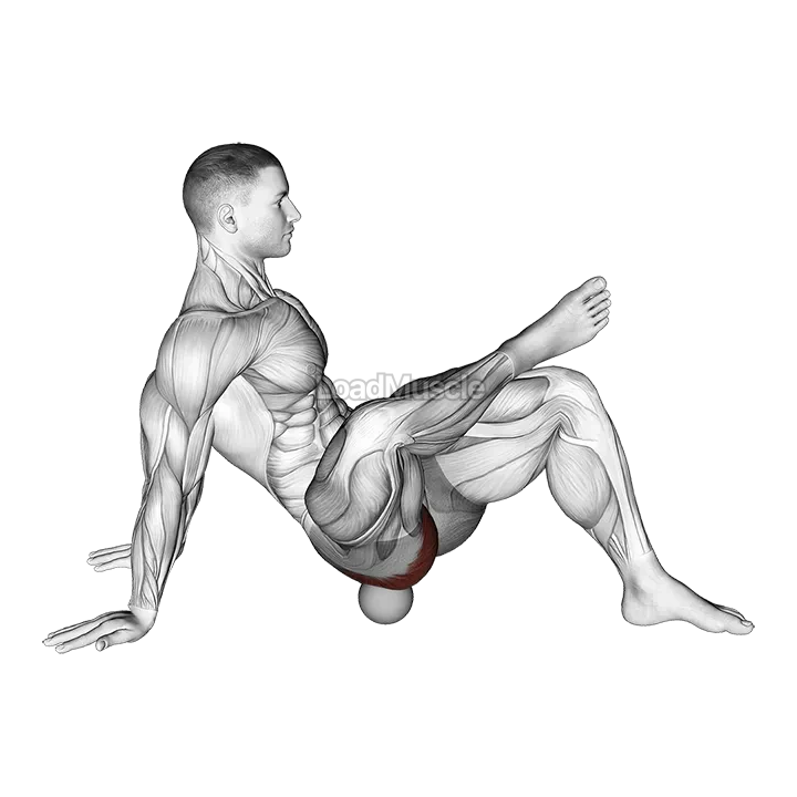 Roll Ball Piriformis Release demonstration