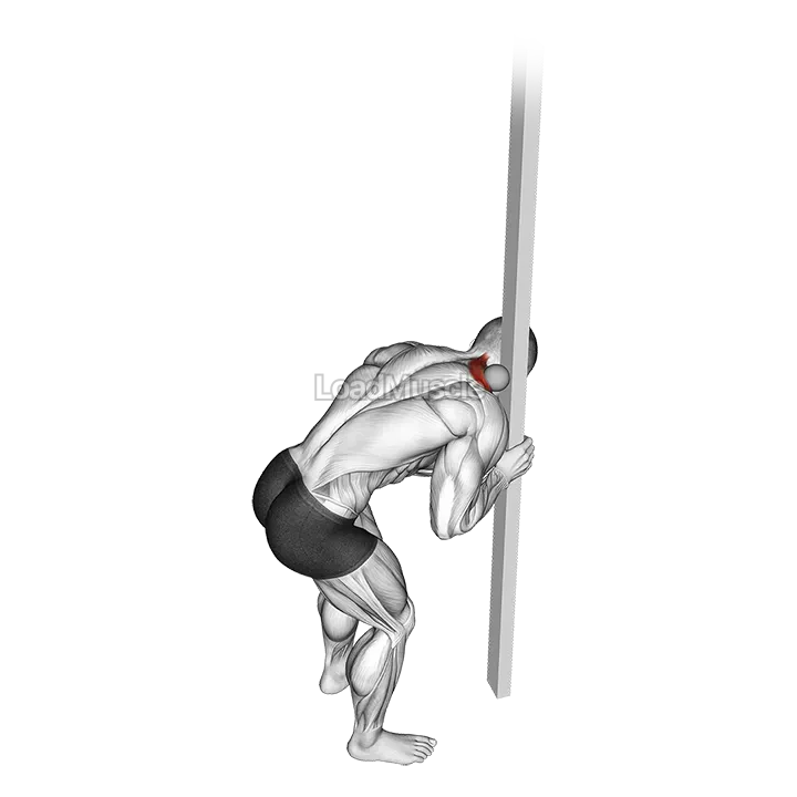 Roll Ball Upper Trapezius Release demonstration