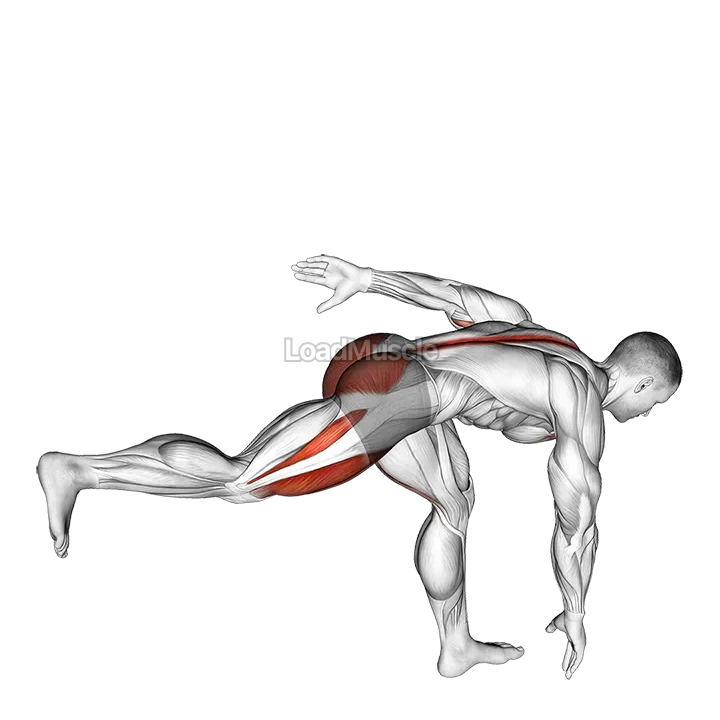 Single Leg Deadlift with Knee Lift demonstration