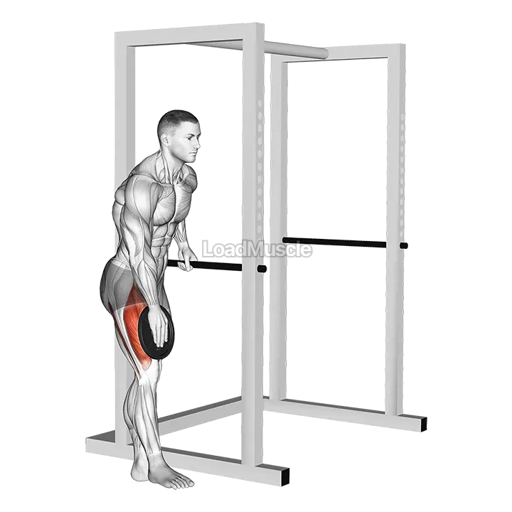 Weighted Single Leg Lift demonstration