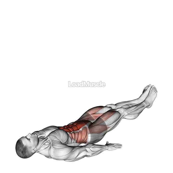 Alternate Lying Floor Leg Raise demonstration