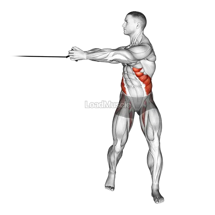 Band twist demonstration