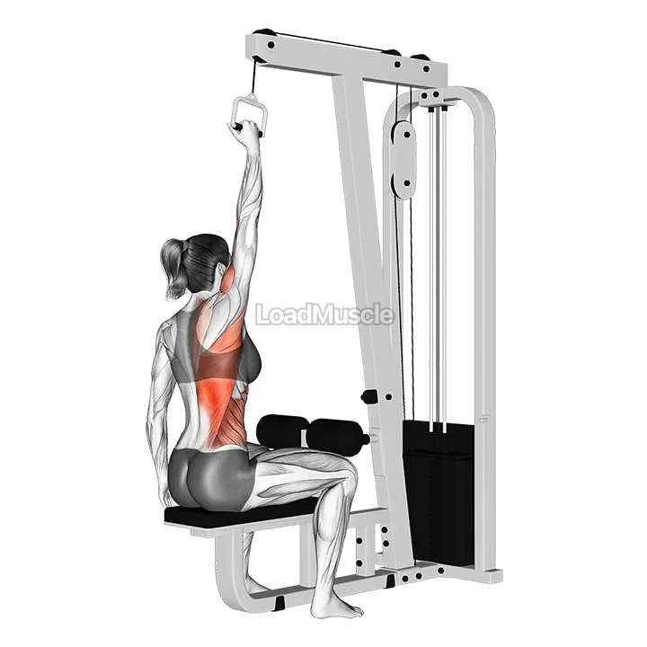 Cable One Arm Lat Pulldown demonstration