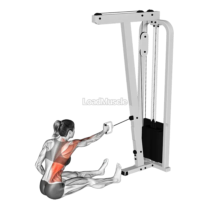 Cable One Arm Twisting Seated Row demonstration