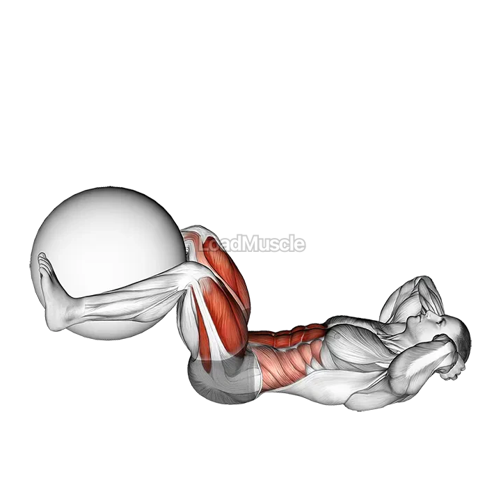 Leg Extension Crunch (with Stability Ball) demonstration
