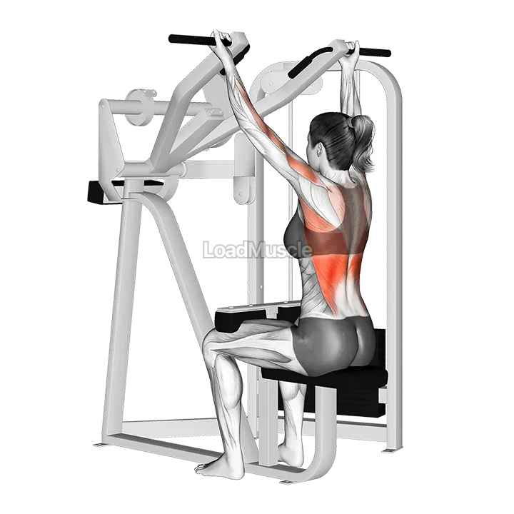 Reverse Grip Machine Lat Pulldown demonstration