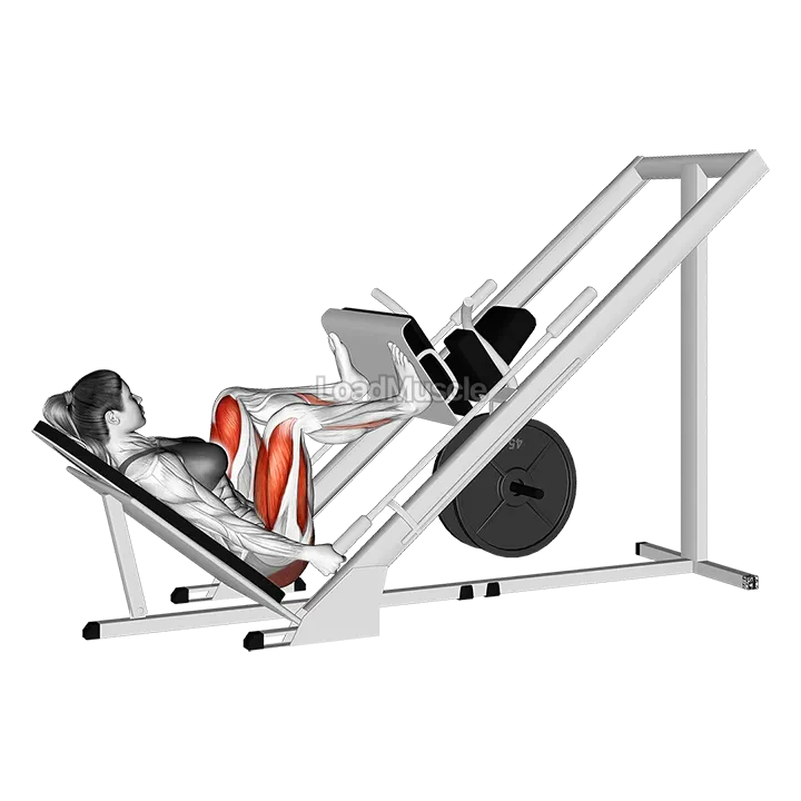 Sled 45 degrees Wide Stance Leg Press demonstration