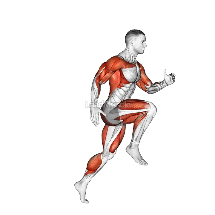 Wheel Run demonstration