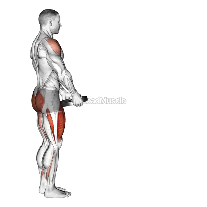 Weighted Lunge with Swing demonstration