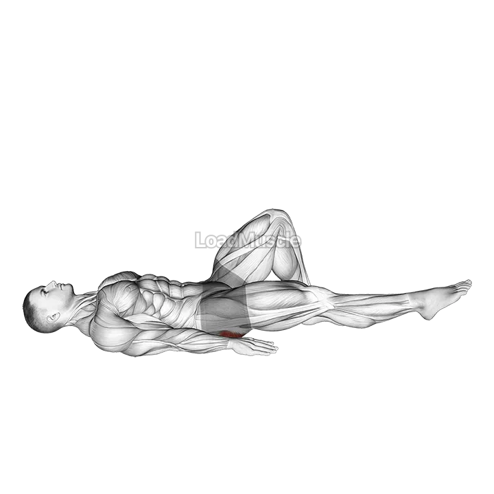 Single Leg Bridge with Outstretched Leg demonstration