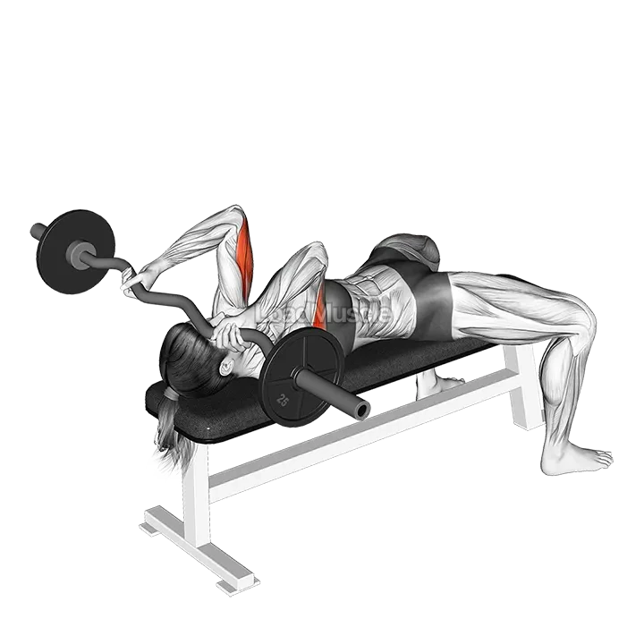 EZ Barbell Lying Triceps Extension demonstration