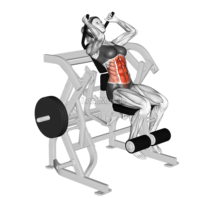 Lever Seated Leg Raise Crunch (plate loaded) demonstration