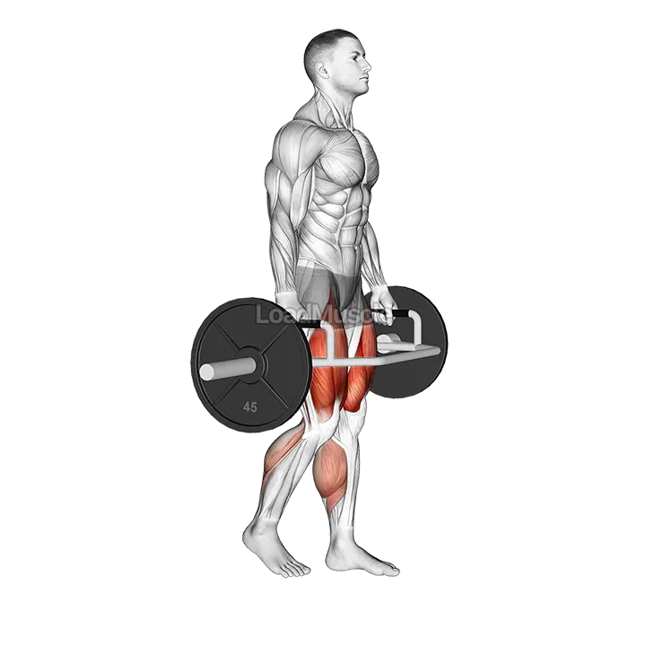 Trap Bar Split Stance RDL demonstration