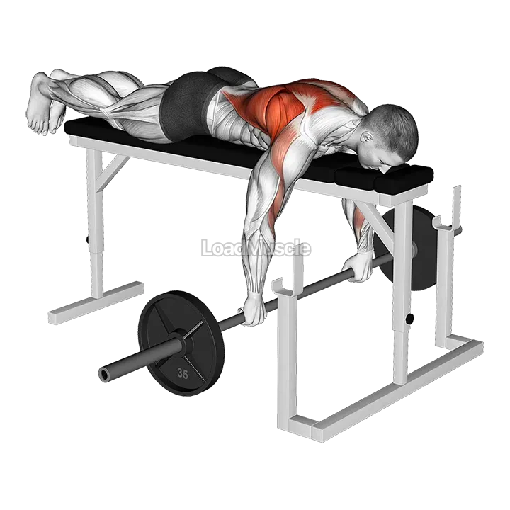 Barbell Lying Row on Rack demonstration