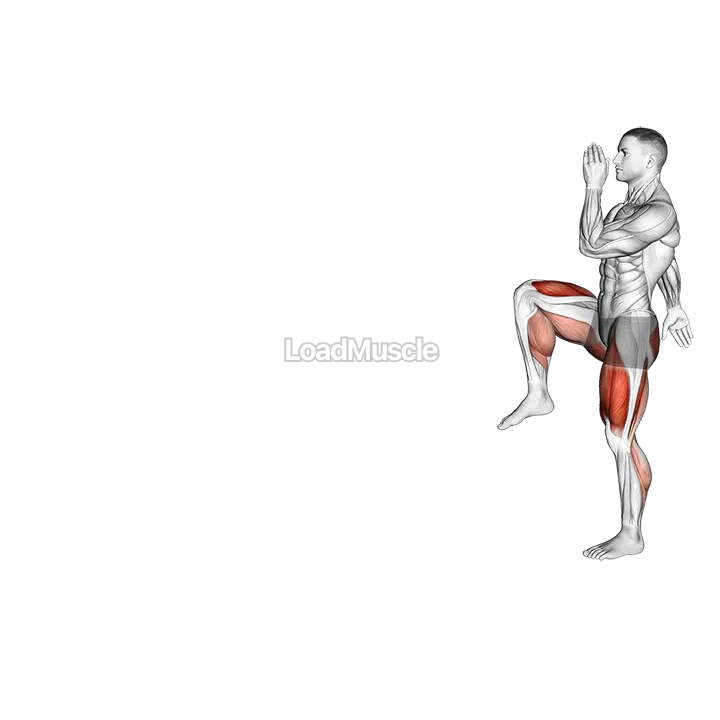 Walking High Knees Lunge demonstration