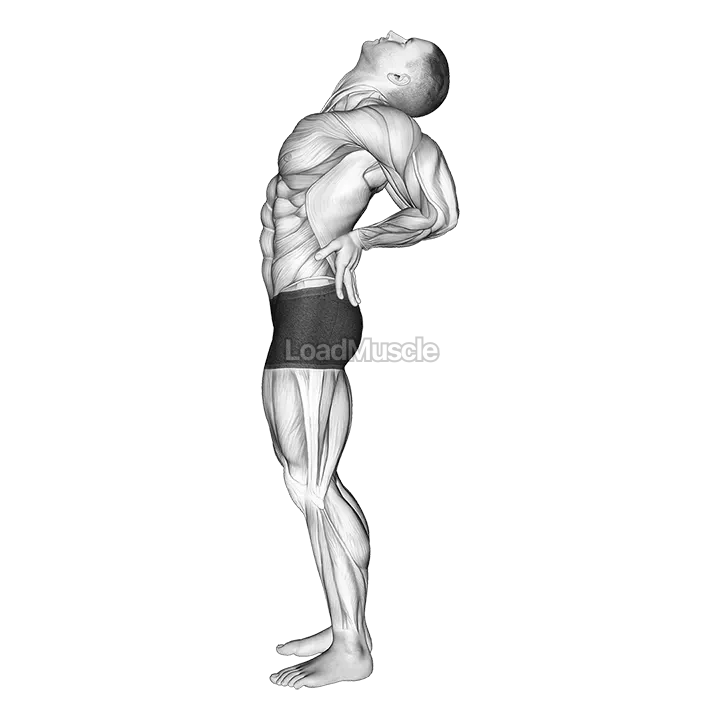 Static Position Standing demonstration