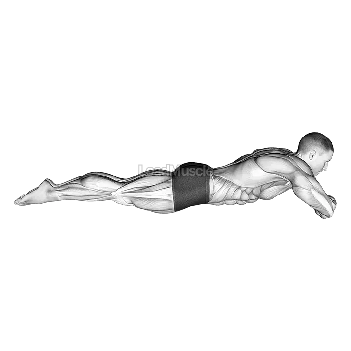 Static Position Lying Front demonstration
