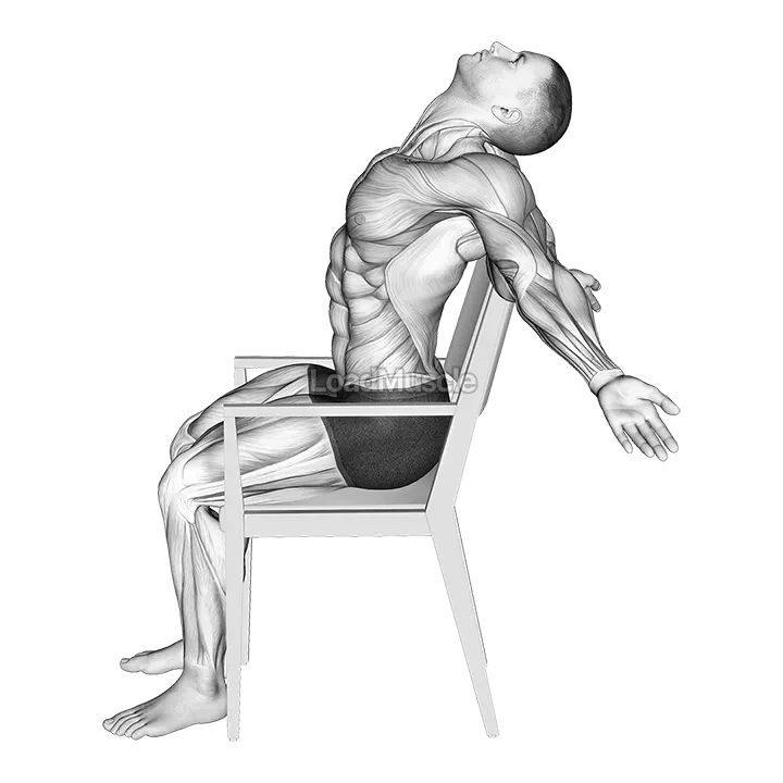 Static Position Seated Back demonstration