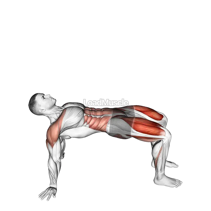 Reverse Plank with Leg Lift demonstration