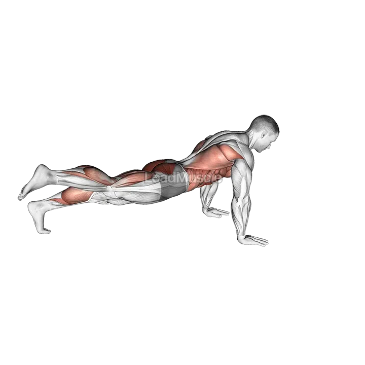 Power Point Plank demonstration