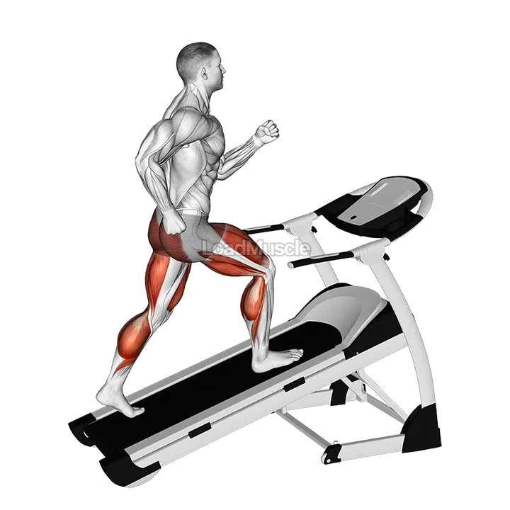 Walking on Incline Treadmill demonstration