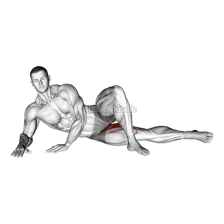 Side Lying Hip Adduction demonstration