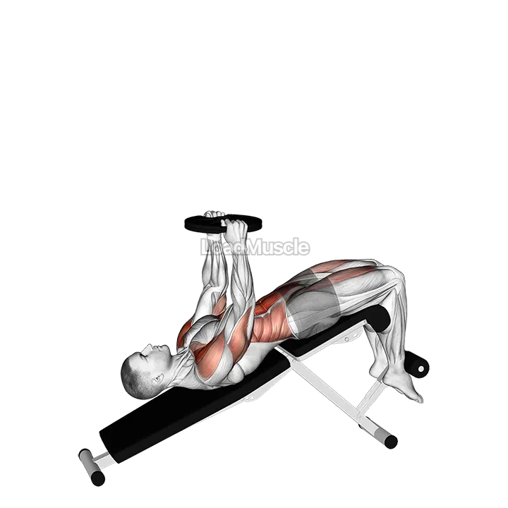 Weighted Decline Sit-up demonstration