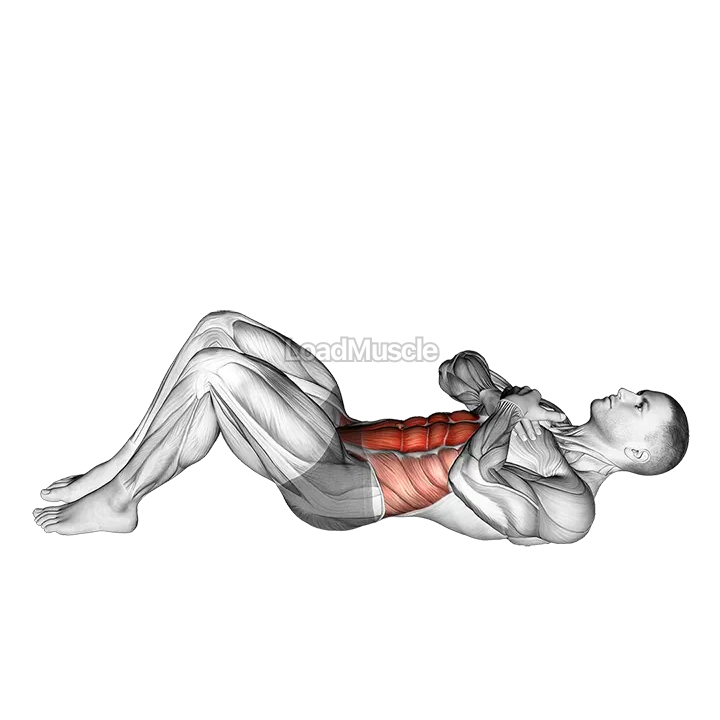 Sit-up with Arms on Chest demonstration