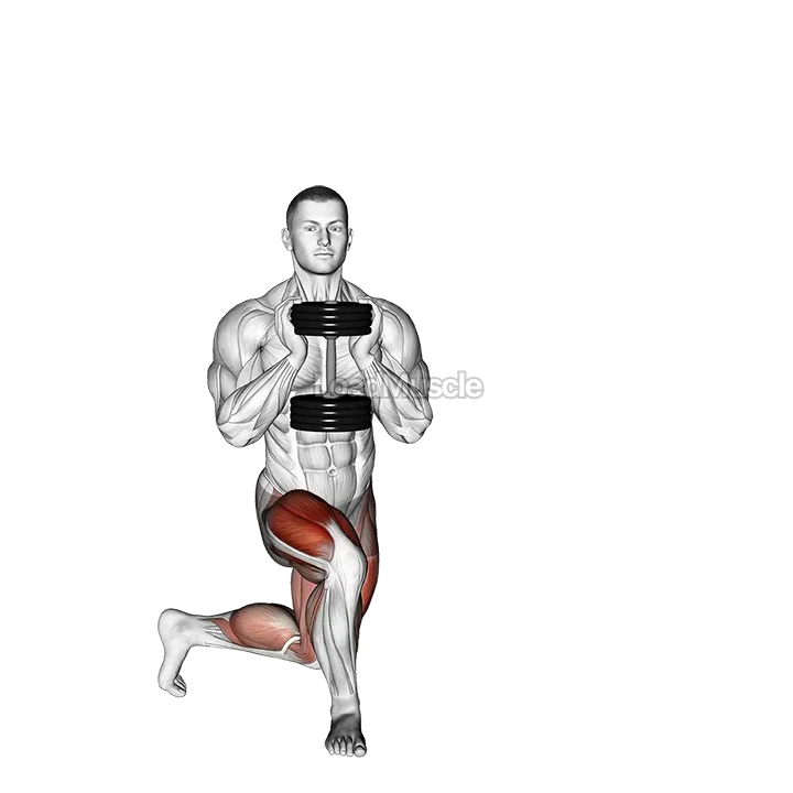 Dumbbell Gobelt Curtsey Lunge demonstration