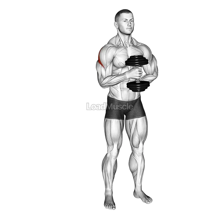 Dumbbell External Rotation demonstration