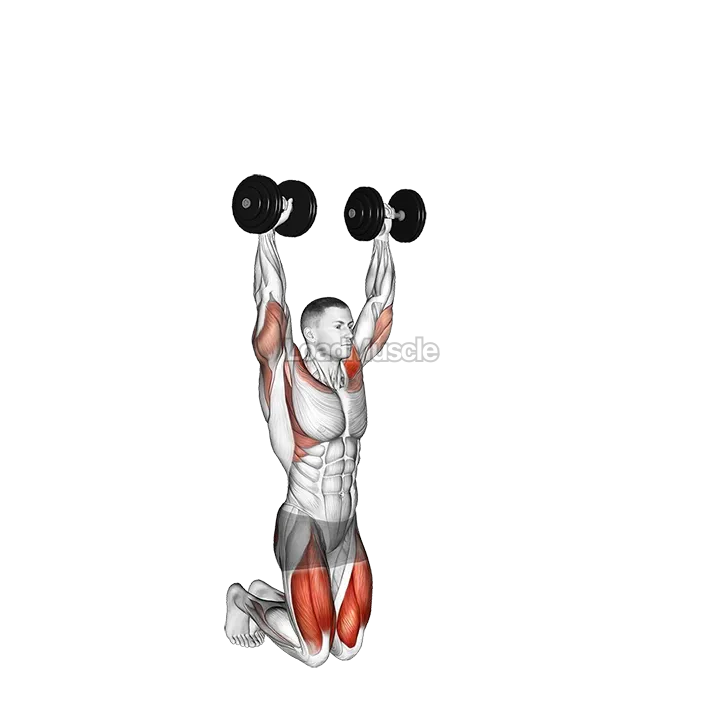 Dumbbell Kneeling Hold to Stand demonstration